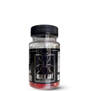 BLACK ANT